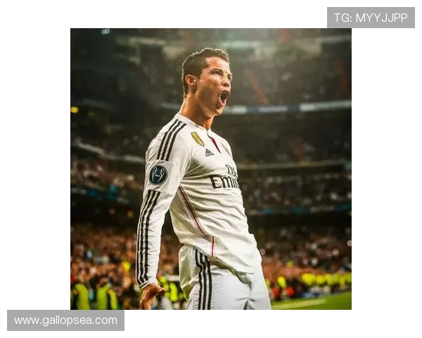 阿韦洛亚看好贝林在次回合表现 阿韦洛亚看好贝林在次回合表现